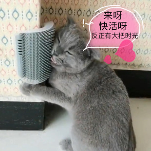 Cat Scratching Board Cat Scratching Toy