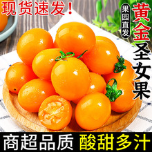 ���r�S���}Ů��1/3�����С���ѬFժ��Ȼ�������SƤ���t��ˮ��