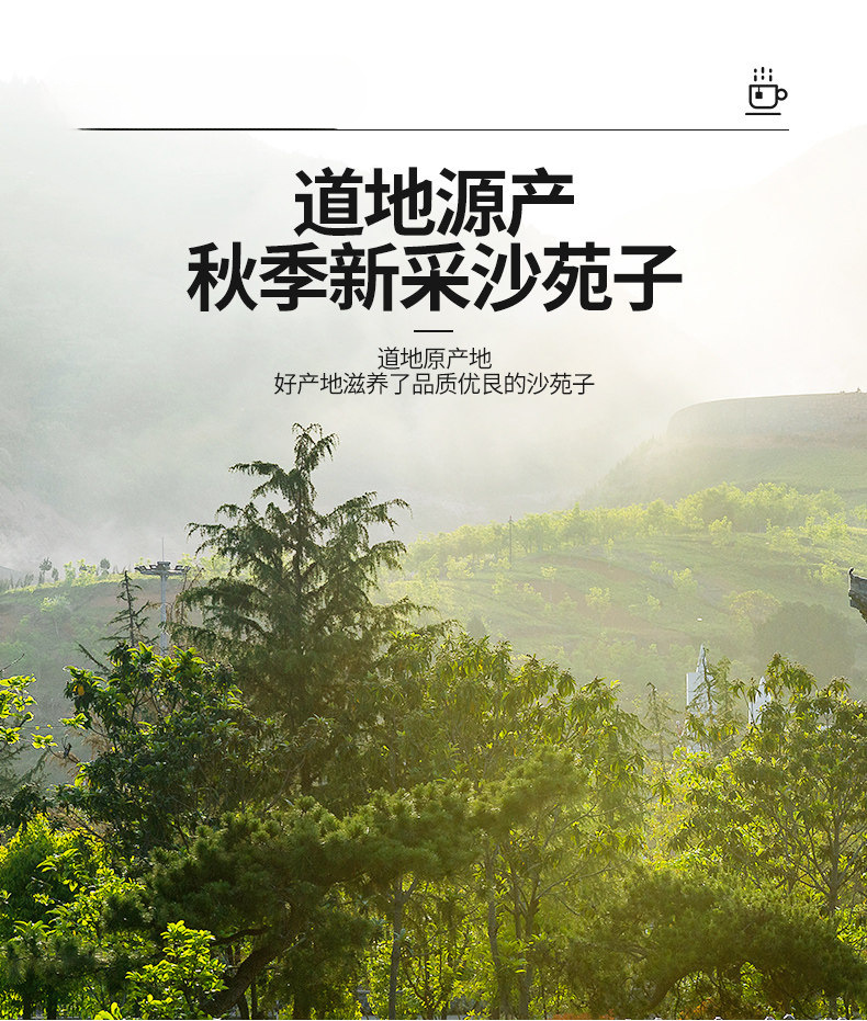 Wild Grade Sha Yuan Zi 250g Flatleaf Milkvetch Seed Astragalus complanatus TCM Herbal Tea Ingredient key features