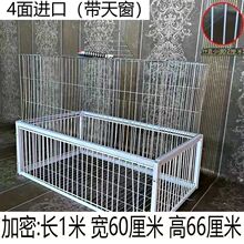 �������� ץ���ӻ\ȫ�Ԅ������\����\��픑���ֻ�M����Ұ�����
