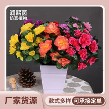 SҹNٻGֲ7ӳɽt͏d[҃b