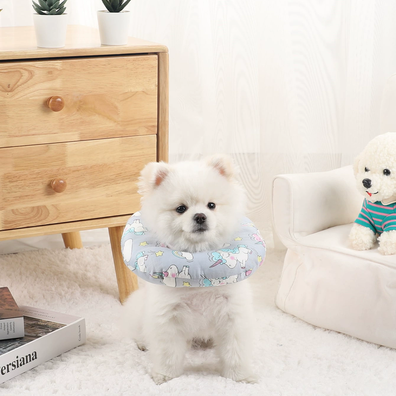 Трансграничное кольцо для кошек Элизабет, стерилизация кошек, защита от лизания кошек, милый ошейник, кошка, защита от царапин