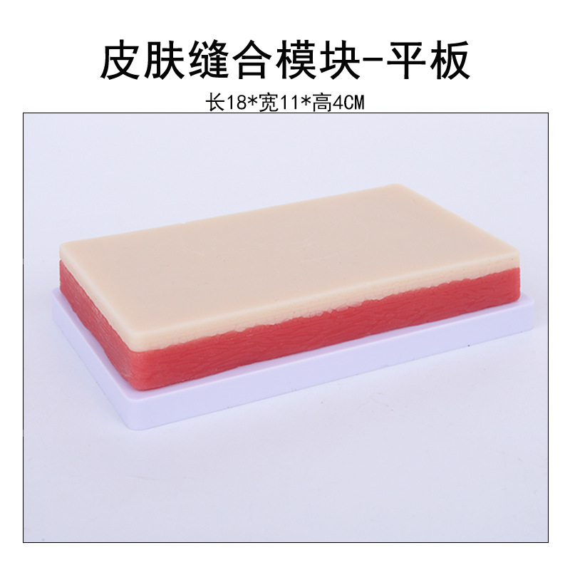 ����Ƥ�������ϰģ�� �轺Ƥ�� ע����ѵ��ҽѧ�����ϰ����