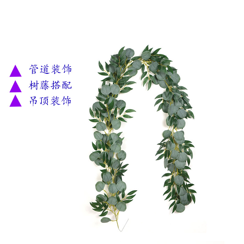 藤条5号 357叶 2米 13 (6).jpg