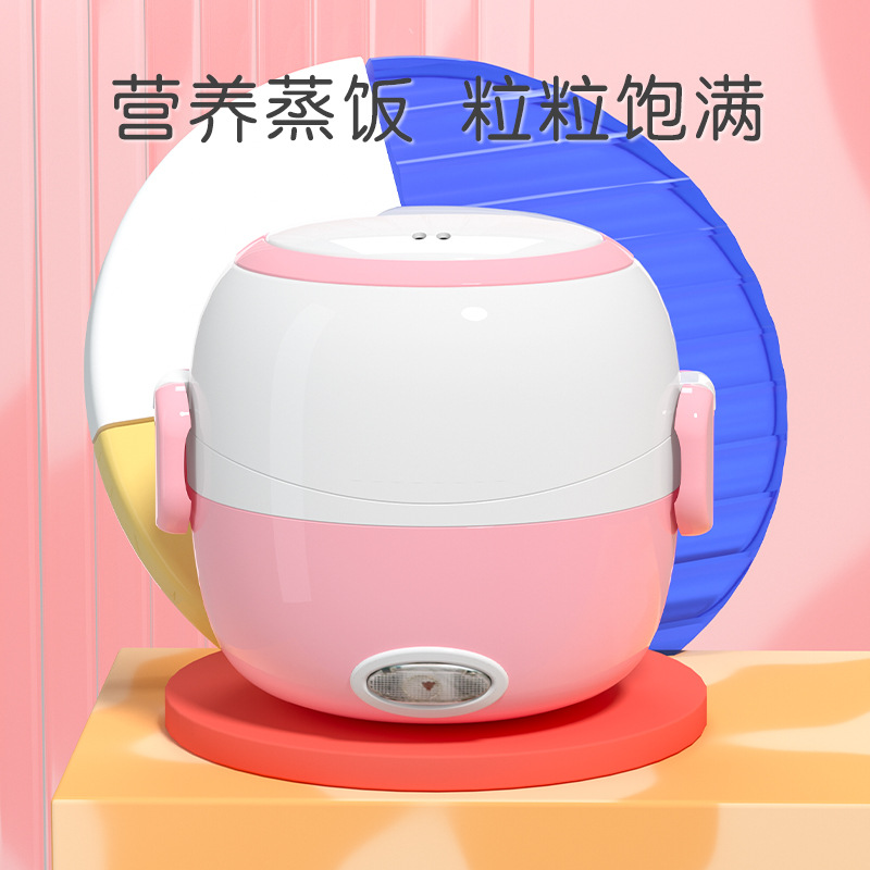 Mini Lunch Box