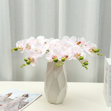 ֧5^ָбm滨 Ҿӿ͏d[cbٻSҶ