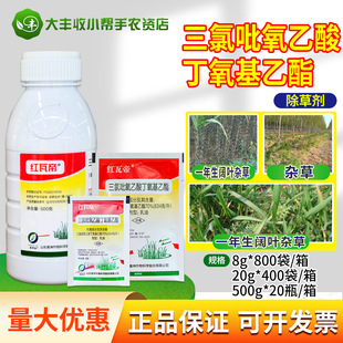 �W�� �t�ߵ�70%�����������ᶡ��������������Ǹ����rș���݄�