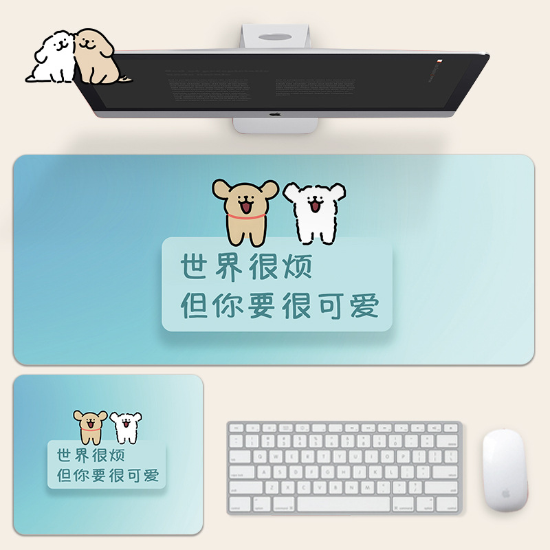 뉴라인 강아지 35