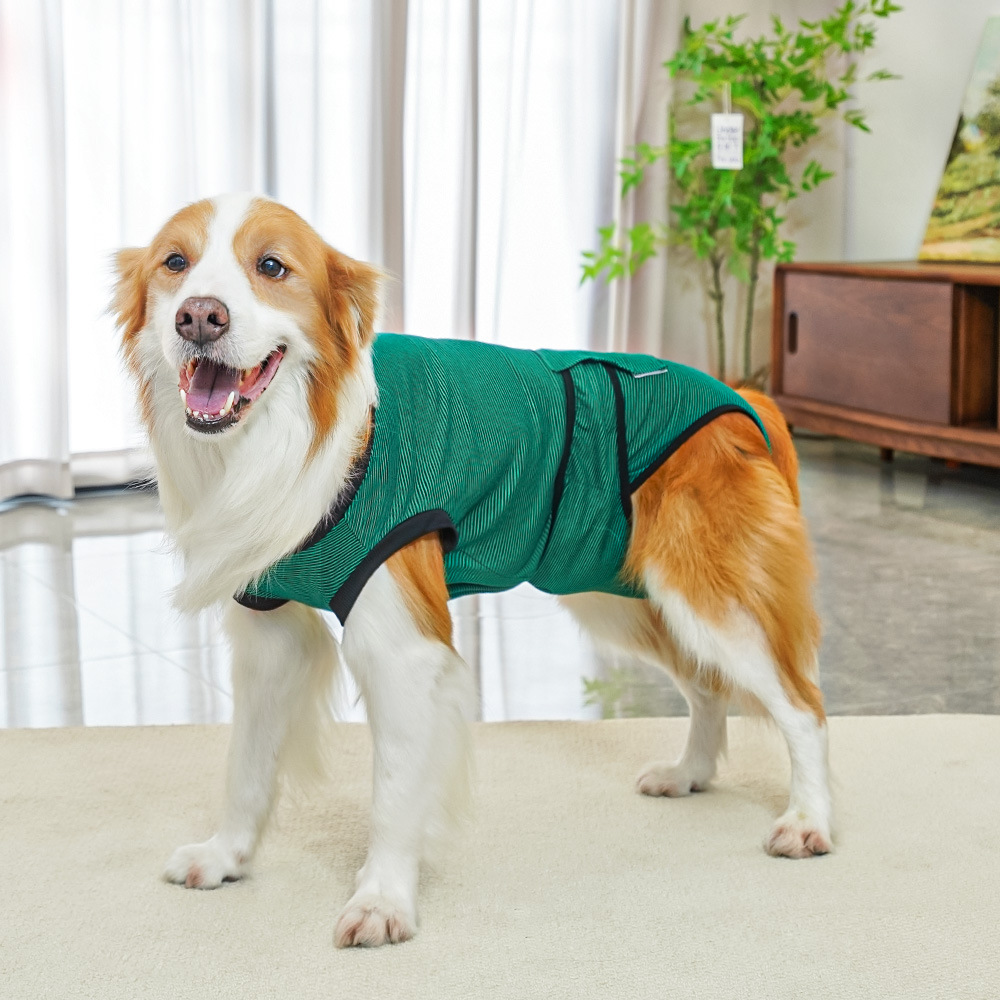Transfronterizos ropa de esterilización de perros medianos y grandes, pantalones fisiológicos, ropa para perros después de la cirugía, suministros de ropa para perros, que el panda, el gato, el cabello dorado, Kirki image 9
