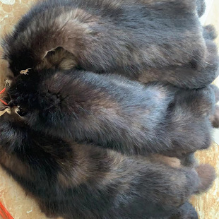 �ؿ��ȱ�ɫ����Ƥ�ӹ����NƤ�ݴ��¾������ׇ������Ь���o�����l