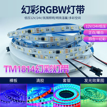 TM1814 RGBW四合一幻彩灯带12V24V低压可编程跑马流水LED全彩灯条