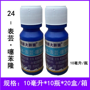 ������ֶ�24-��ܿ�籽¡�����{�����L�rșֲ�����L�{����