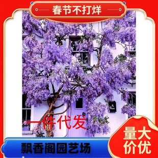 ���ٻ������̨ͥԺ�������ԝ��㻨���ձ��L���ļ��_���ͺ�