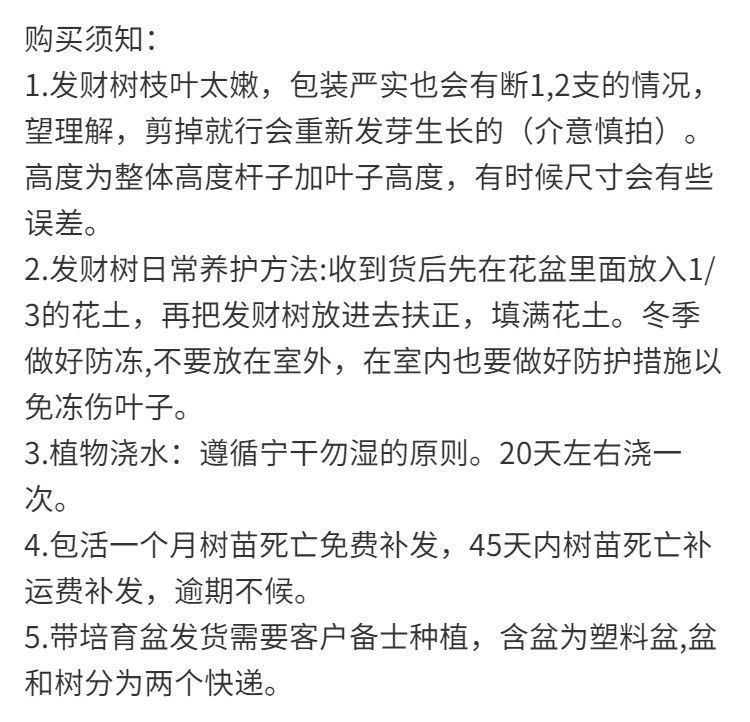 21f651d5-ec93-4337-9b7e-5402f0082f1e.jpe