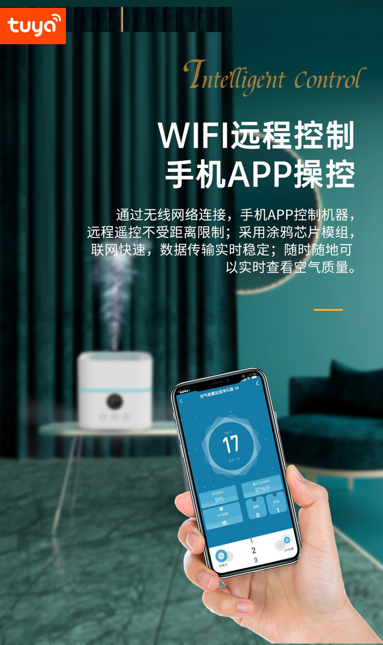 详情 (5)