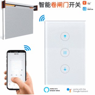 Graffiti cross border tuya smart garage roll gate WIFI switch GoogleHome Alexa smart switch
