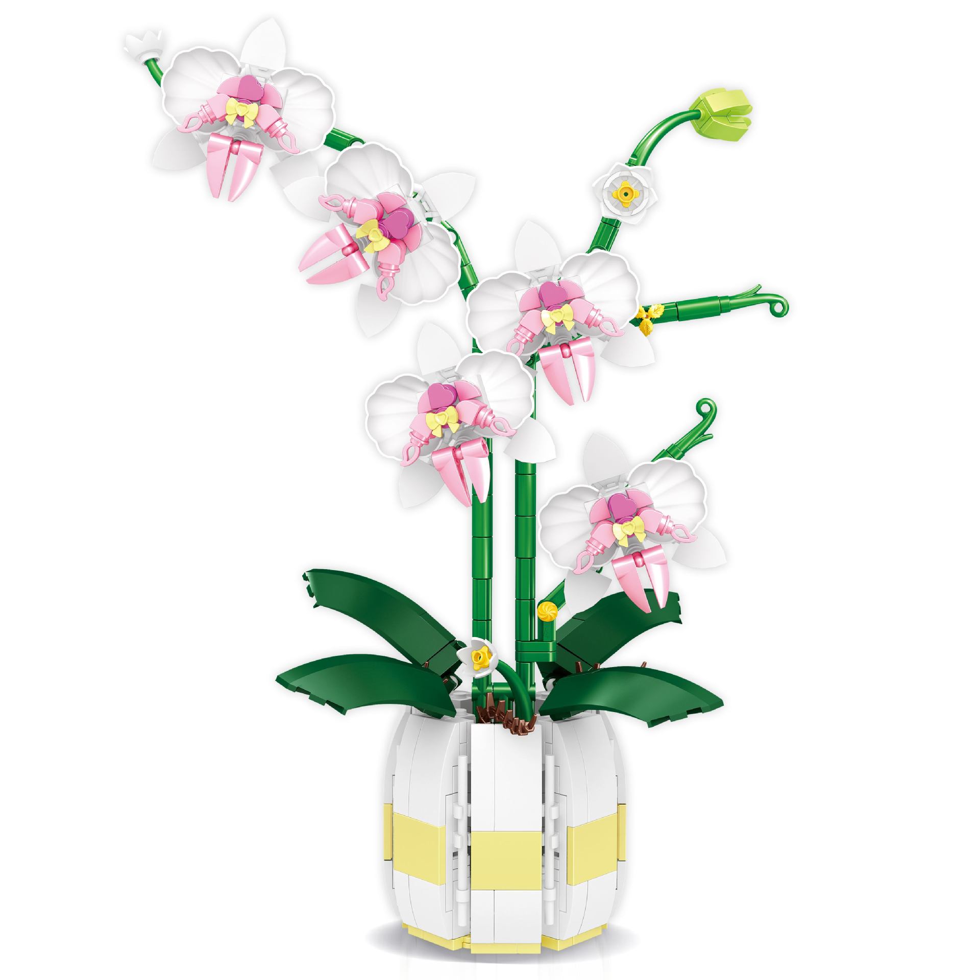 Eterna flor Phalaenopsis chica ensamblado bloques de construcción juguete chica regalo del Día de San Valentín compatible con Lego