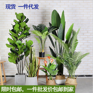 WͷGֲl҃쾰˽~ɢβֲ