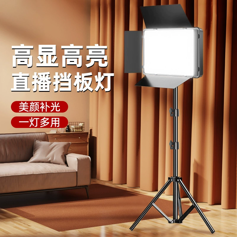 Мобильный живой заполняющий свет для профессиональной фотографии портативный уличный свет студийный свет 11-дюймовый плоский Перегородочный светильник