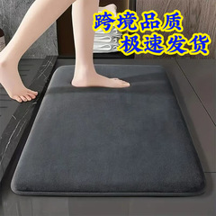 外贸出口珊瑚绒地垫家用浴室防滑地垫耐脏易打理卫生间进门垫脚垫