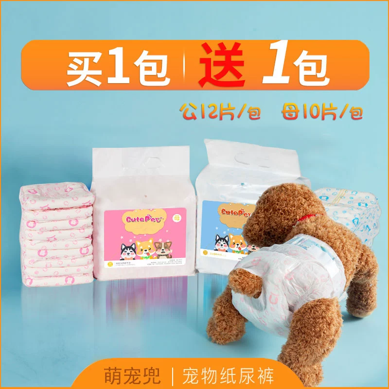 Собака подгузник, кобель не мокрый сука, сука, трусы, тетя, полотенце, домашнее животное, собака, одноразовая моча, гигиена