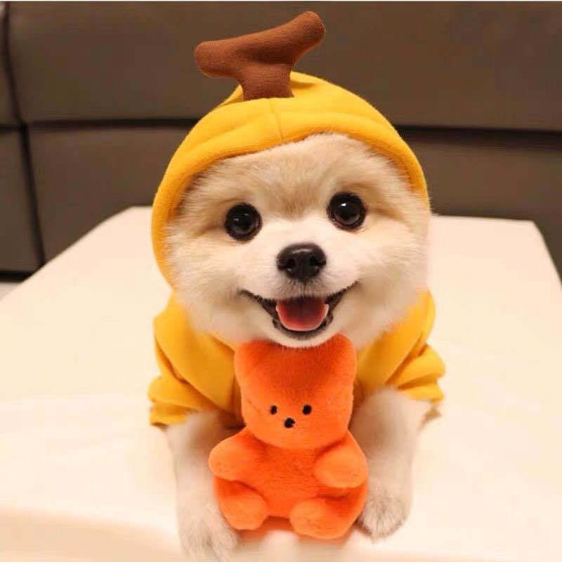 후드가 달린 다리 스웨트셔츠 옐로우 바나나