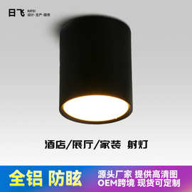 铝制LED筒灯OEM定制 10W12W贴片式 商场餐厅用明装吊装筒灯