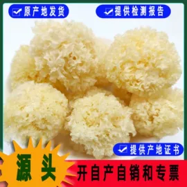 银耳;蘑菇;猴头菇