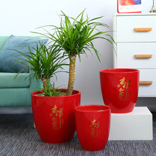 中國風吉祥如意大紅陶瓷花盆落地特大碼金錢樹高款室內種樹大花盆