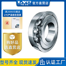 LYCS6020E 6020E-Z S մĥCĥCĥɰC