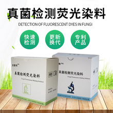 zyɹԇtԺɹȾϸzy׼_