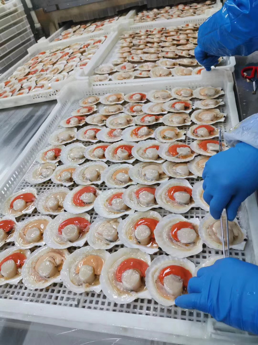 2020_04_02_09_49_IMG_5951