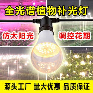 Led Plant Fill Light Imitation Sunlight Bulb Flower Fruit Succulent Chrysanthemum Vegetable Greenhouse Fill Light