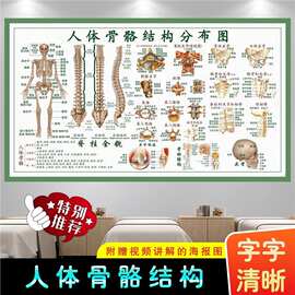 高清海报中医养生馆装饰画医院墙面挂画贴图纸