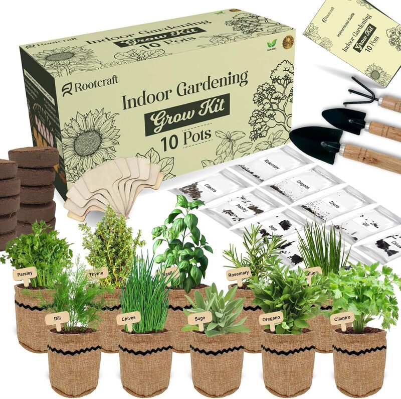 Vanilla Kitchen Gardening Planting Introductory Indoor Kit Children's Adult Flower Handmade Observation Plant Factory Direct Sales