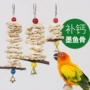啃咬磨牙墨鱼骨牡丹玄凤