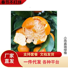 ��Ʒ�N��Ƥ�۽��� ����һ̖��������������� �޽ӟo���۽��Ә���