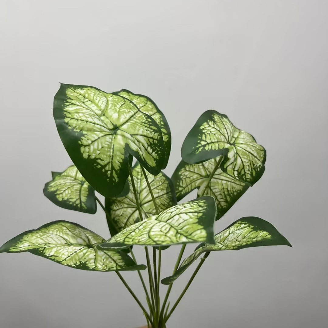 Helecho silvestre Taro hoja verde Planta artificial flor simulación con raíz barba selva tropical decoración Mori paisaje simulación planta mango paquete