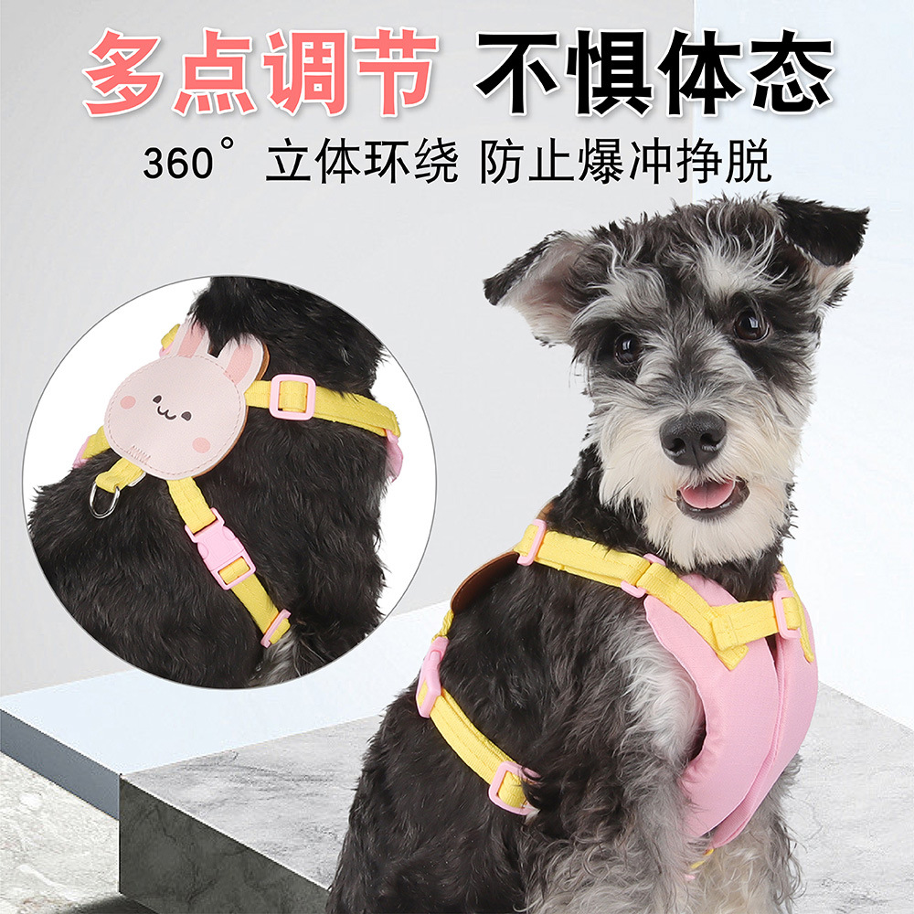 Personalizada explosión pet pet