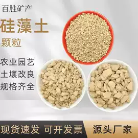 其他非金属;硅藻土;防火涂料