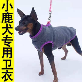 迷你杜宾小鹿犬专用衣服卫衣可带牵引绳小体型狗狗秋冬季秋天保暖