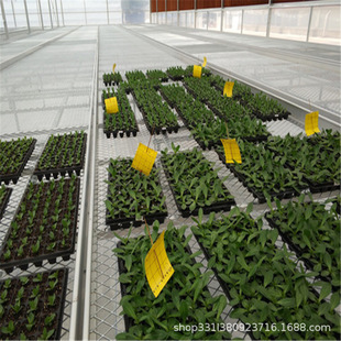 2025���Ͳ������ҷNֲ䓰�Wʽ�紲���P����\�F�z�W�Oʩ�r�I