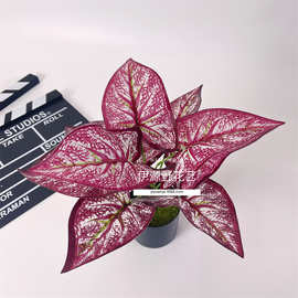 仿真绿植马蹄龟背叶绿化景观草植物墙配材装饰园艺家居假绿植 批