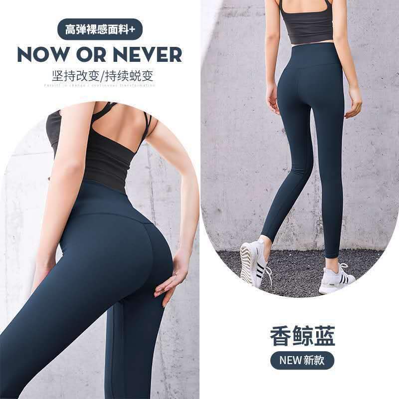 향기로운 고래 블루