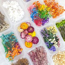 干花满天星永生花diy材料批發玫瑰蓬莱松手工花装饰母亲节礼物