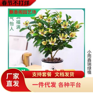 һ�����l��Ц�����������������̨���ԝ�����ͥԺ������ļ��_��