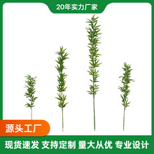 �҃������b�����������L�����쾰�����b������Լ��ܾGֲ�쾰