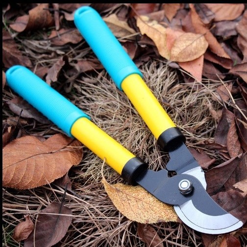 篱笆剪园艺剪刀绿篱剪刀草坪修剪修枝剪花草树枝剪粗枝园林大剪刀