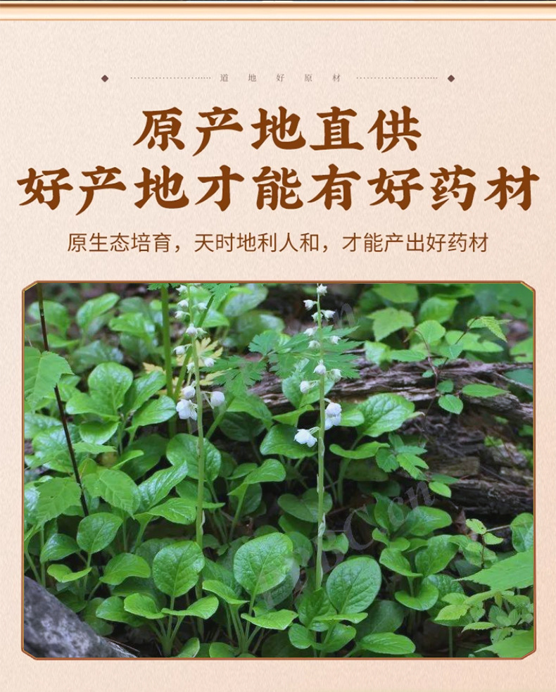 Pyrola Herb Lu Xian Cao 500g Dried Whole Herb Traditional TCM Herbal Tea and Decoction Ingredient key features