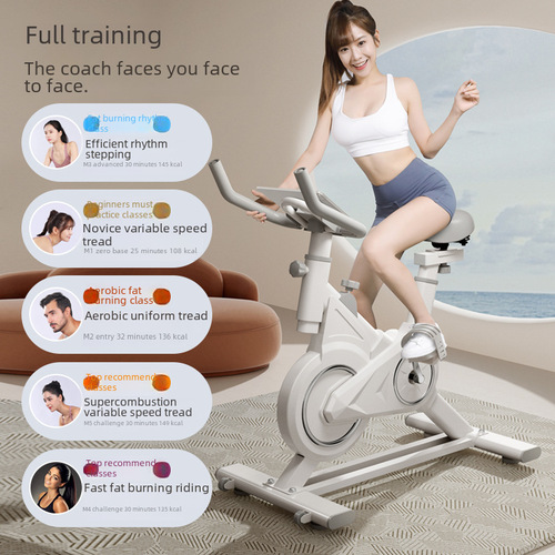Smart Exercise Bike Magnetic Control Household Indoor Fitness Bike Gym Equipment Weight Loss Ultra Quiet Exercise Bicycle 